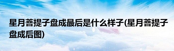 星月菩提子盘成最后是什么样子(星月菩提子盘成后图)