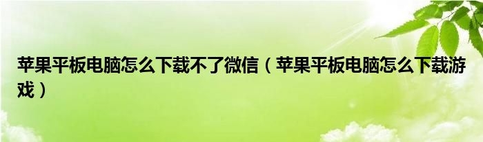苹果平板电脑怎么下载不了微信（苹果平板电脑怎么下载游戏）