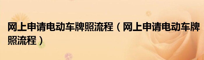 网上申请电动车牌照流程（网上申请电动车牌照流程）