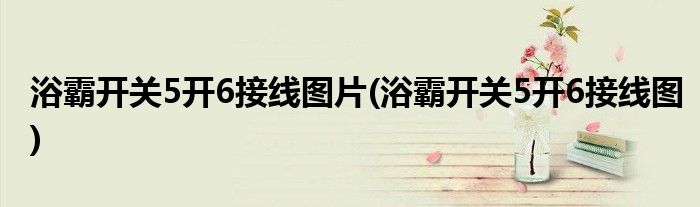 浴霸开关5开6接线图片(浴霸开关5开6接线图)