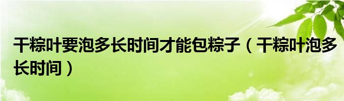 干粽叶要泡多长时间才能包粽子（干粽叶泡多长时间）