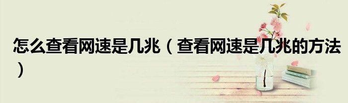 怎么查看网速是几兆（查看网速是几兆的方法）