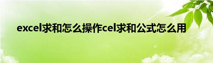 excel求和怎么操作cel求和公式怎么用