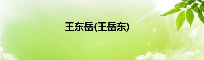 王东岳(王岳东)