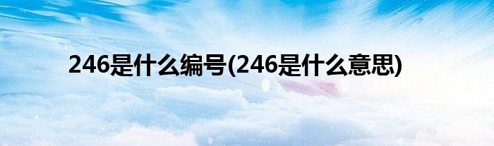 246是什么编号(246是什么意思)