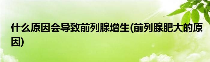什么原因会导致前列腺增生(前列腺肥大的原因)