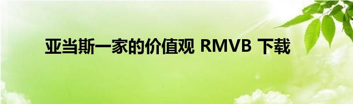 亚当斯一家的价值观 RMVB 下载