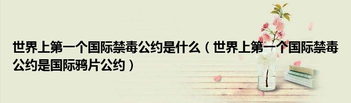 世界上个国际禁毒公约是什么（世界上个国际禁毒公约是国际鸦片公约）
