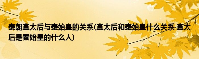 秦朝宣太后与秦始皇的关系(宣太后和秦始皇什么关系 宣太后是秦始皇的什么人)