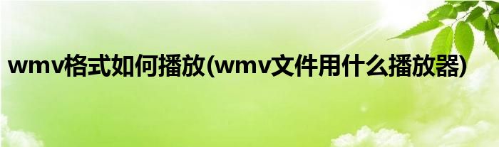 wmv格式如何播放(wmv文件用什么播放器)