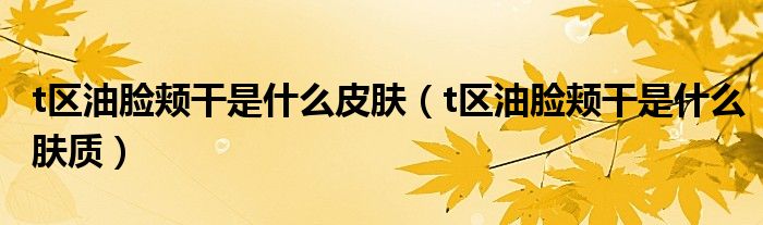 t区油脸颊干是什么皮肤（t区油脸颊干是什么肤质）
