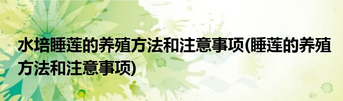 水培睡莲的养殖方法和注意事项(睡莲的养殖方法和注意事项)