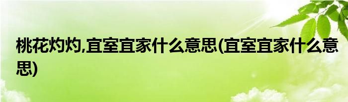 桃花灼灼,宜室宜家什么意思(宜室宜家什么意思)