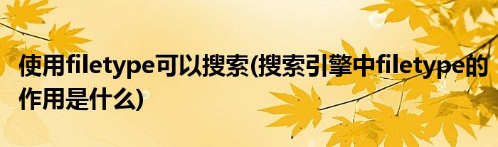使用filetype可以搜索(搜索引擎中filetype的作用是什么)