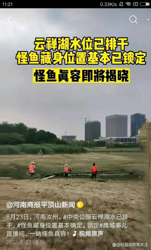 湖水已抽干，怪鱼即将现身河南平顶山云禅湖