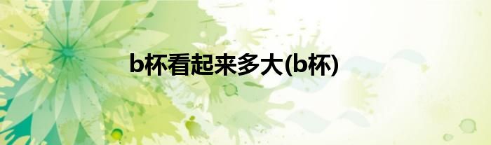 b杯看起来多大(b杯)