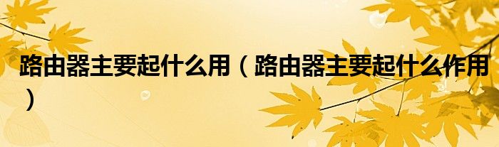 路由器主要起什么用（路由器主要起什么作用）