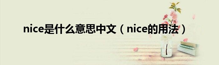nice是什么意思中文（nice的用法）