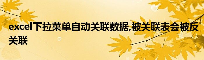 excel下拉菜单自动关联数据,被关联表会被反关联