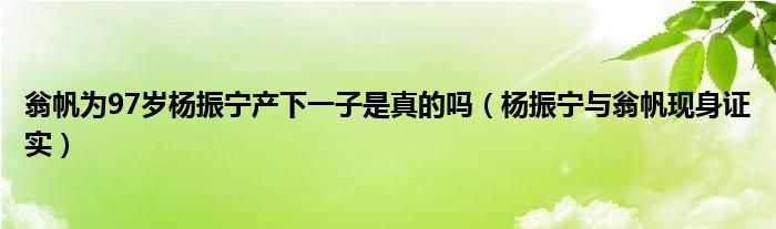 翁帆为97岁杨振宁产下一子是真的吗（杨振宁与翁帆现身证实）