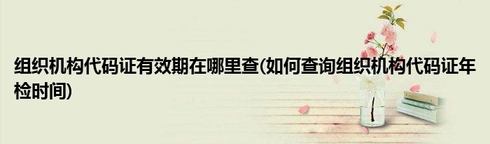 组织机构代码证有效期在哪里查(如何查询组织机构代码证年检时间)