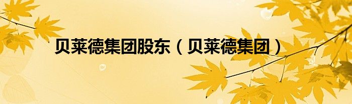 贝莱德集团股东（贝莱德集团）