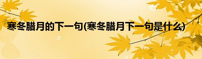 寒冬腊月的下一句(寒冬腊月下一句是什么)