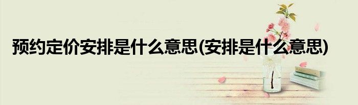 预约定价安排是什么意思(安排是什么意思)