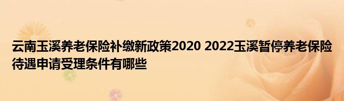 云南玉溪养老保险补缴新政策2020 2022玉溪暂停养老保险待遇申请受理条件有哪些