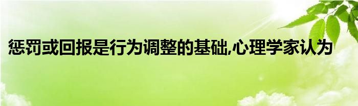 惩罚或回报是行为调整的基础,心理学家认为