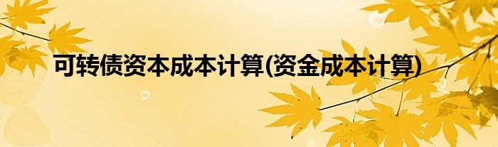 可转债资本成本计算(资金成本计算)