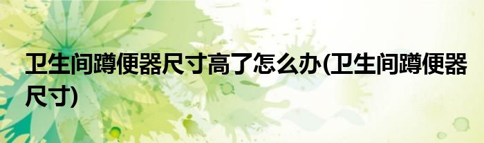 卫生间蹲便器尺寸高了怎么办(卫生间蹲便器尺寸)