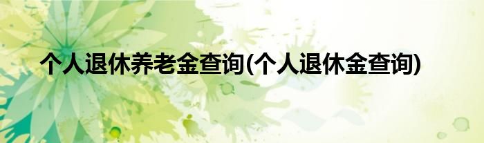个人退休养老金查询(个人退休金查询)