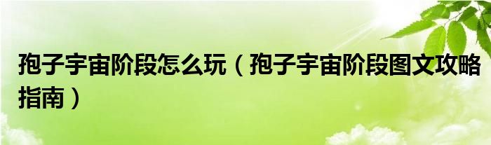 孢子宇宙阶段怎么玩（孢子宇宙阶段图文攻略指南）