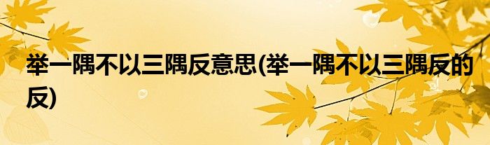 举一隅不以三隅反意思(举一隅不以三隅反的反)