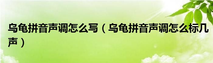 乌龟拼音声调怎么写（乌龟拼音声调怎么标几声）