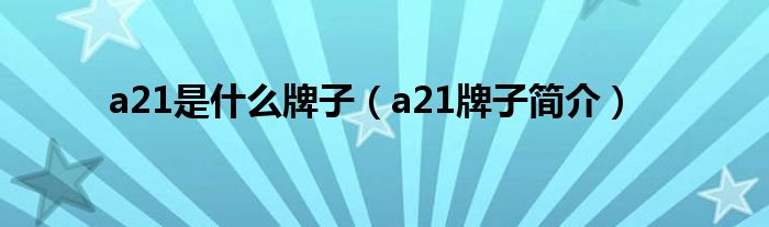 a21是什么牌子（a21牌子简介）