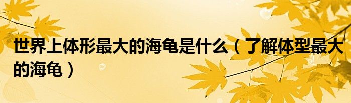 世界上体形更大的海龟是什么（了解体型更大的海龟）