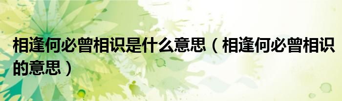 相逢何必曾相识是什么意思（相逢何必曾相识的意思）