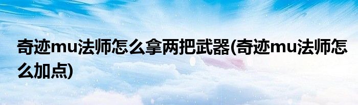 奇迹mu法师怎么拿两把武器(奇迹mu法师怎么加点)
