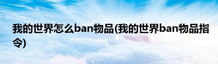 我的世界怎么ban物品(我的世界ban物品指令)