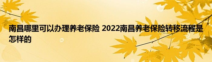 南昌哪里可以办理养老保险 2022南昌养老保险转移流程是怎样的
