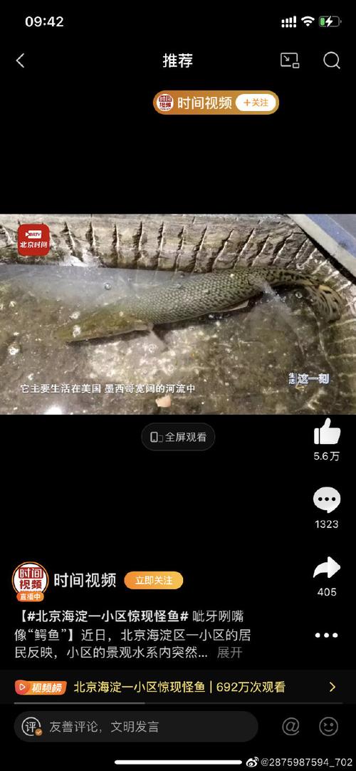 北京海淀一小区惊现怪鱼 网友：数罪并罚吧，肯定是有钱人