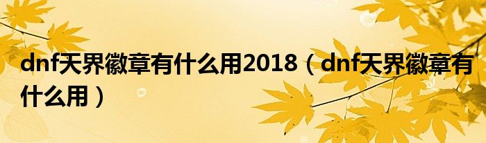 dnf天界徽章有什么用2018（dnf天界徽章有什么用）