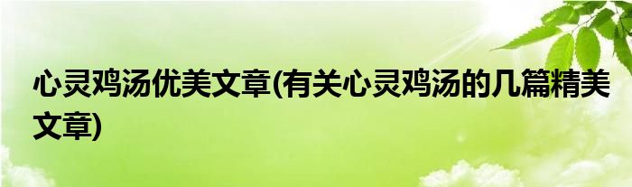 心灵鸡汤优美文章(有关心灵鸡汤的几篇精美文章)