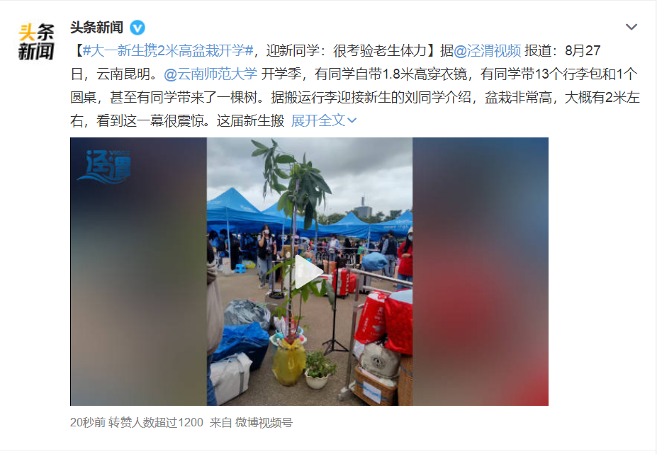 大一新生携2米高盆栽开学，迎新同学：很考验老生体力