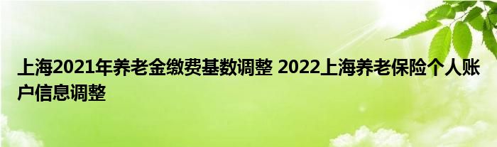上海2021年养老金缴费基数调整 2022上海养老保险个人账户信息调整