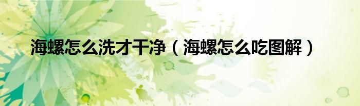海螺怎么洗才干净（海螺怎么吃图解）