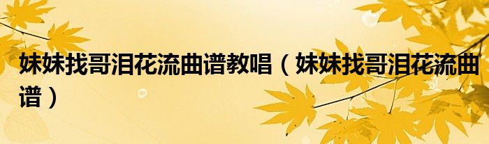 妹妹找哥泪花流曲谱教唱（妹妹找哥泪花流曲谱）