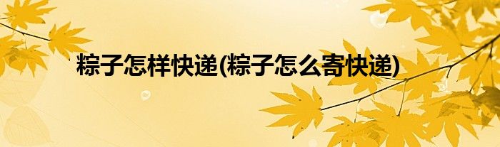 粽子怎样快递(粽子怎么寄快递)